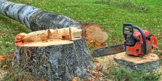  North Rock Springs, WY Tree Care Pros