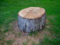 Best Stump Grinding and Removal  in North Rock Springs, WY